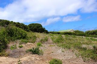 0 Bedroom Property for Sale in Jongensfontein Western Cape